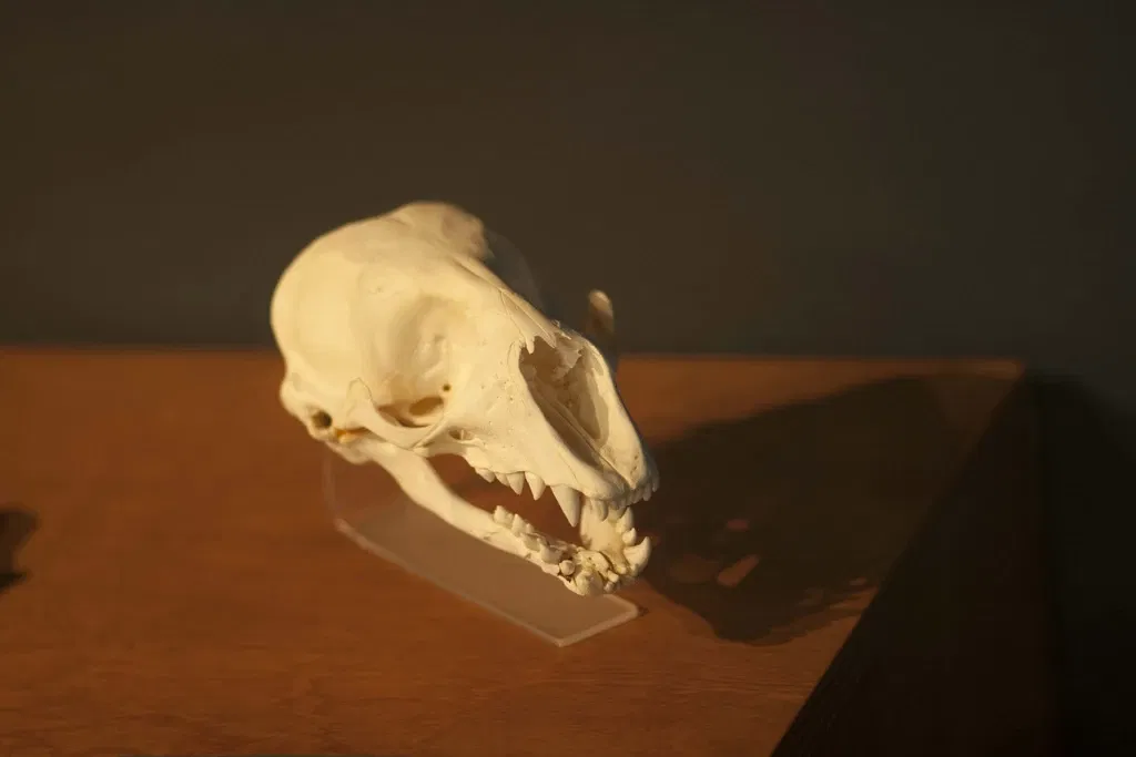 Museo Marítimo del Cantábrico