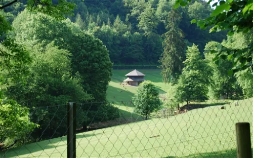Wildpark Roggenhausen Aarau