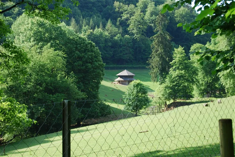 Wildpark Roggenhausen Aarau