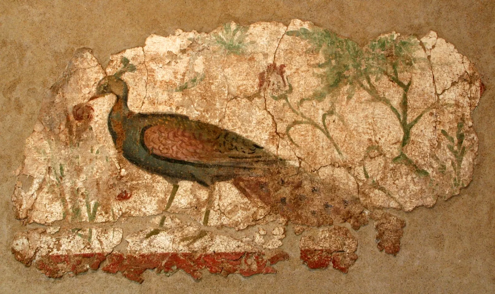 National Archaeological Museum of Tarragona