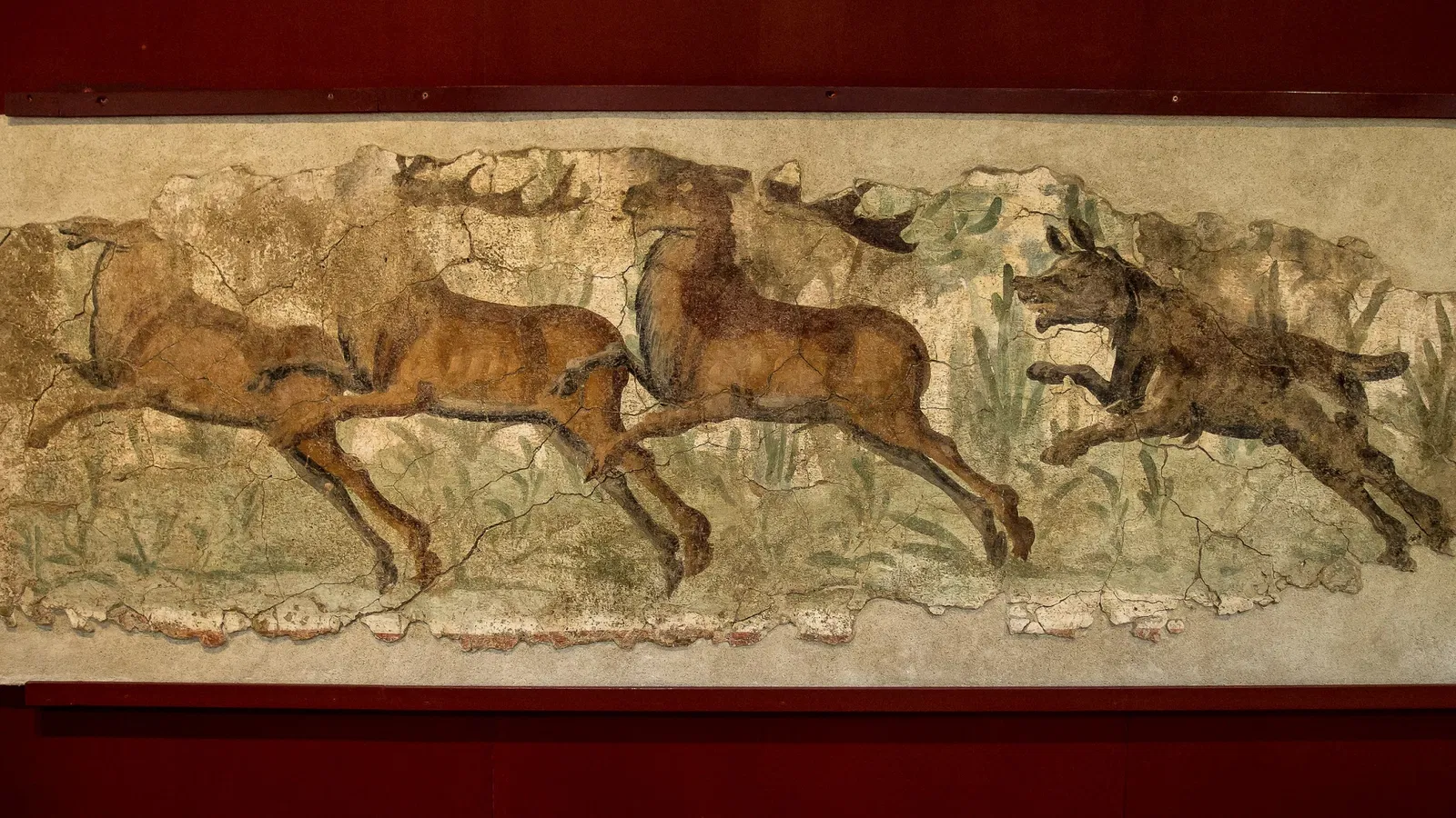 National Archaeological Museum of Tarragona