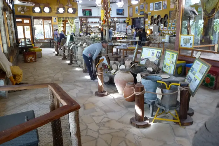 Rancho Cortesano - Museo de la Miel