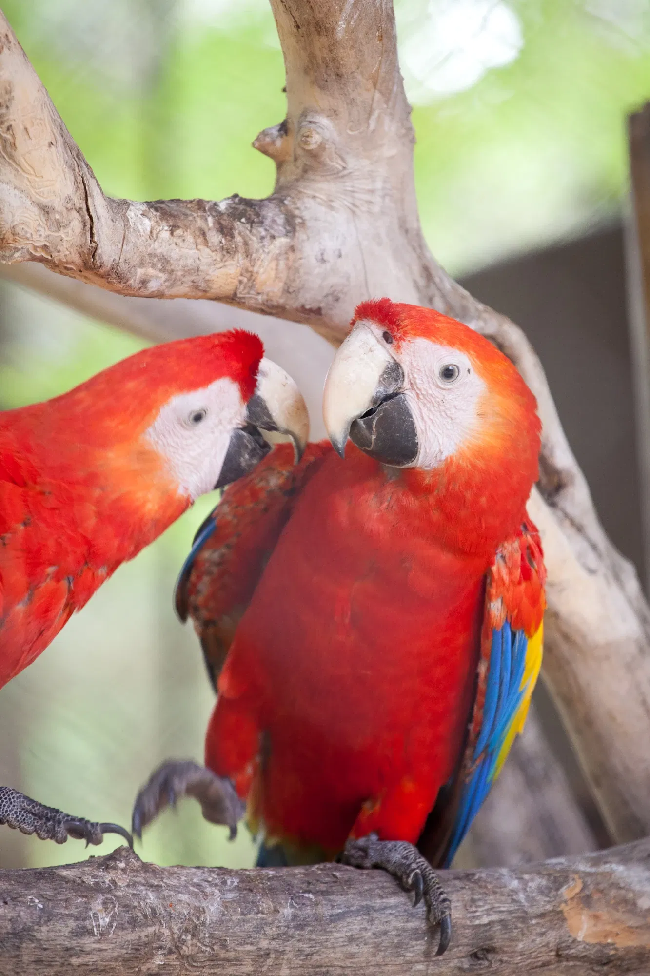 Zoo and Botanical Garden Jerez