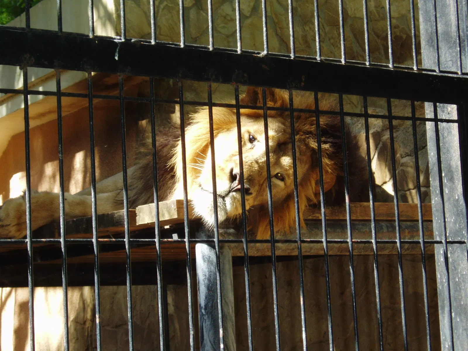 Zoo and Botanical Garden Jerez