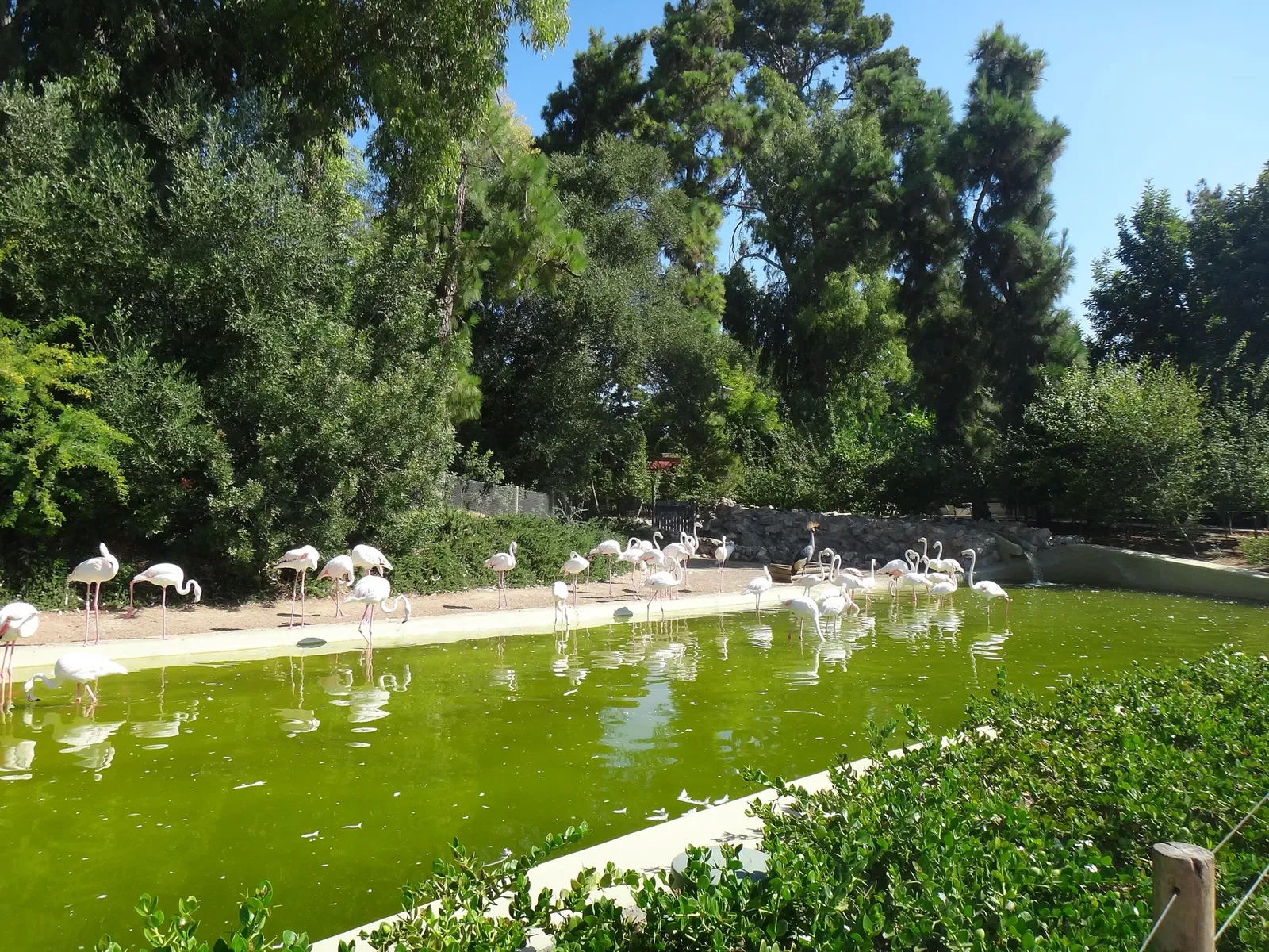 Zoobotánico Jerez