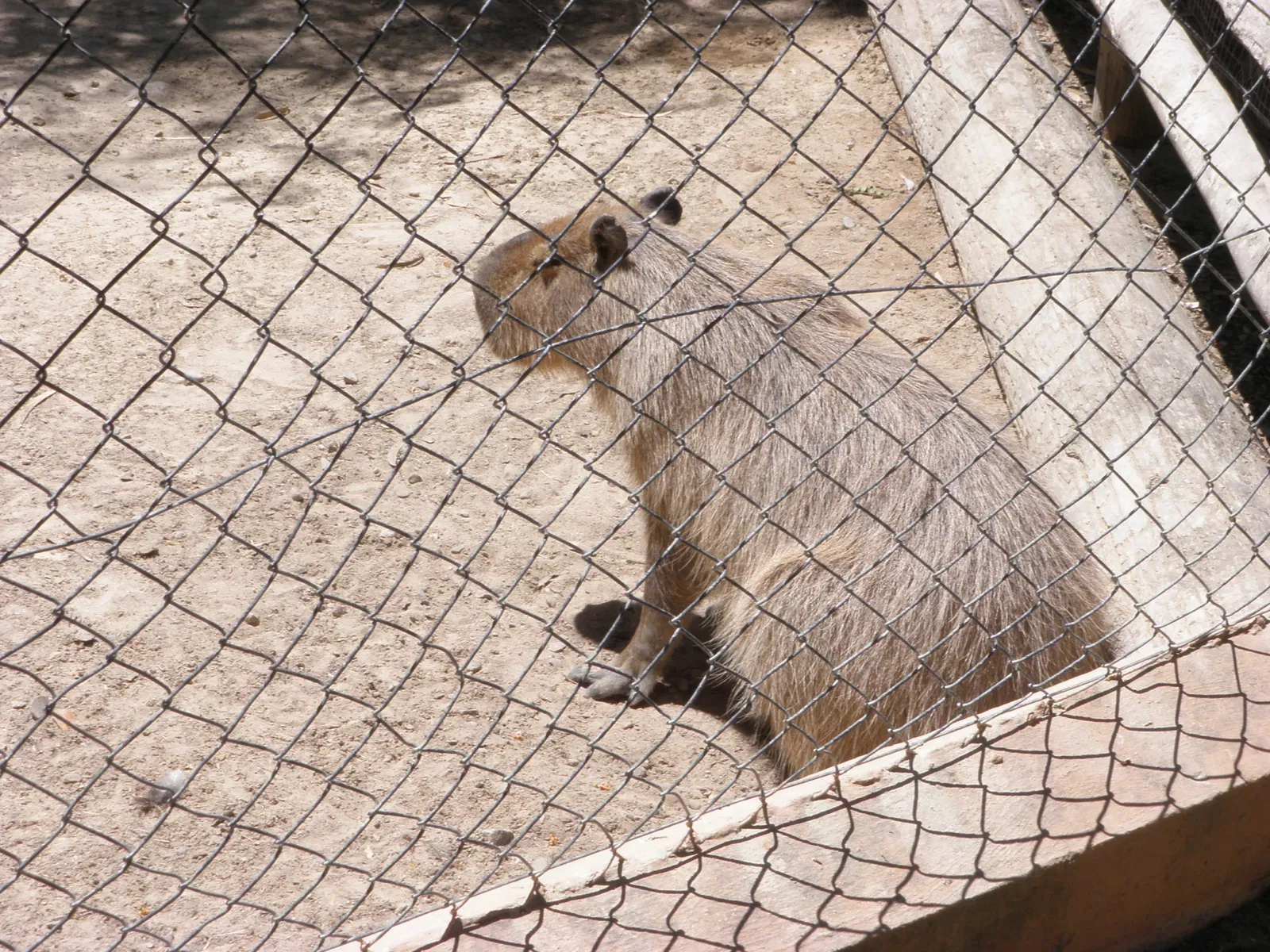 Zoo and Botanical Garden Jerez