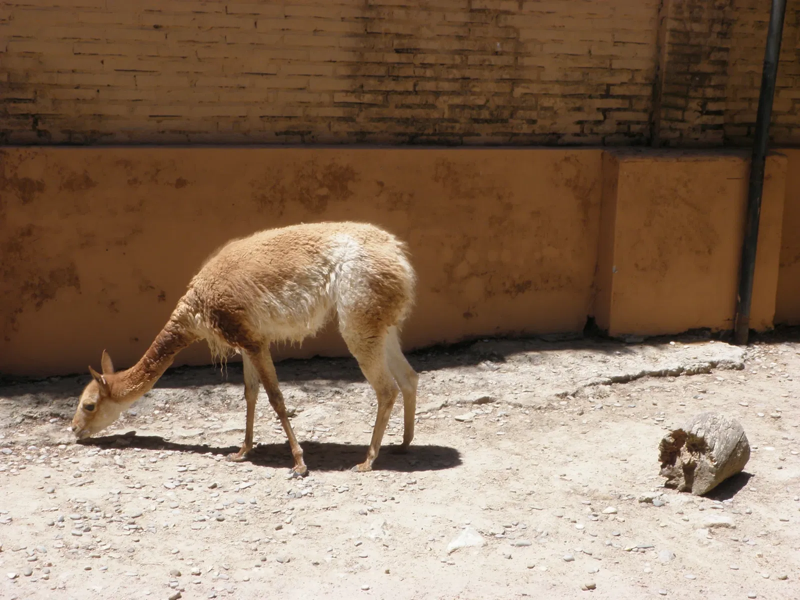 Zoo and Botanical Garden Jerez