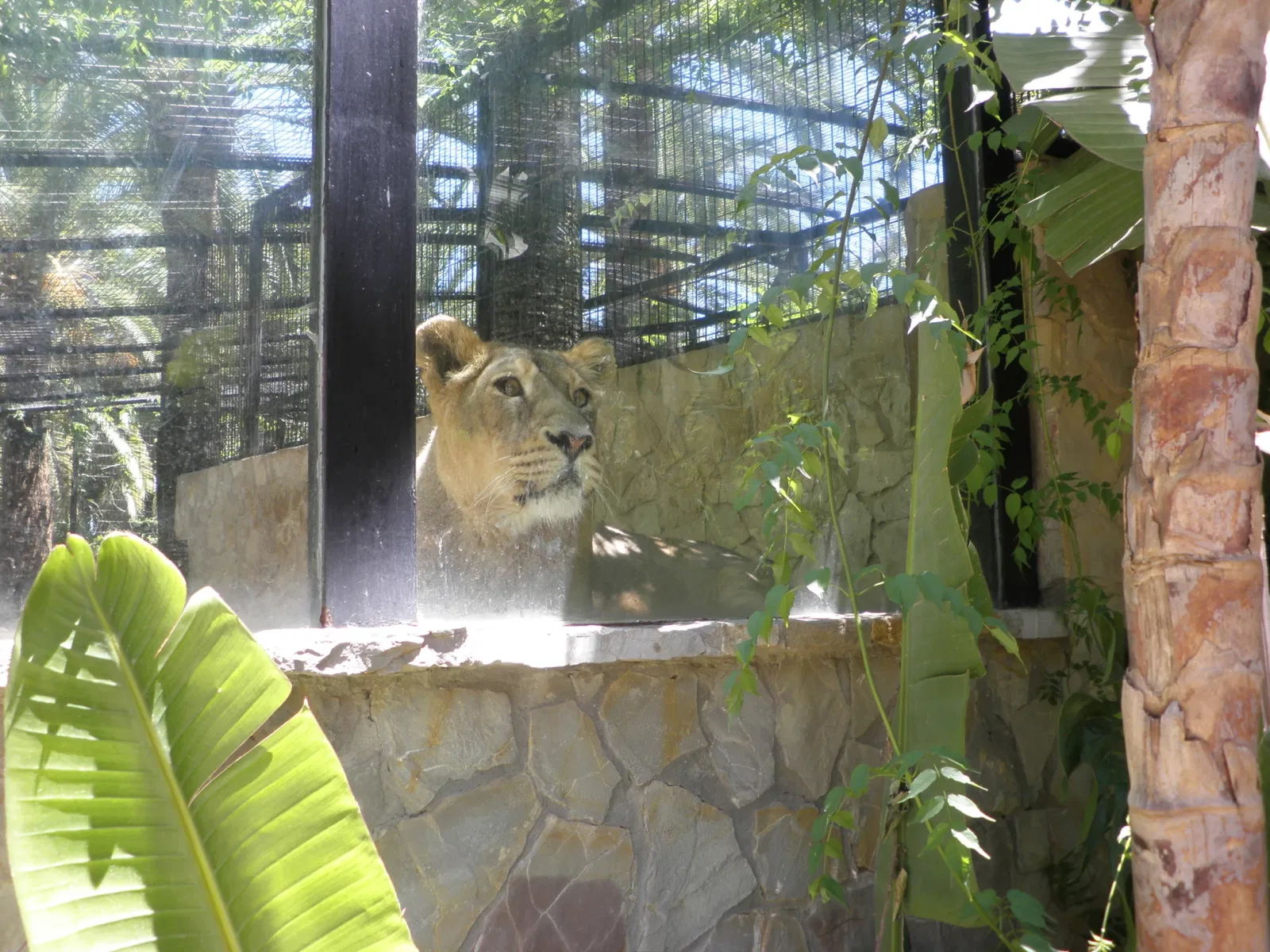 Zoo and Botanical Garden Jerez