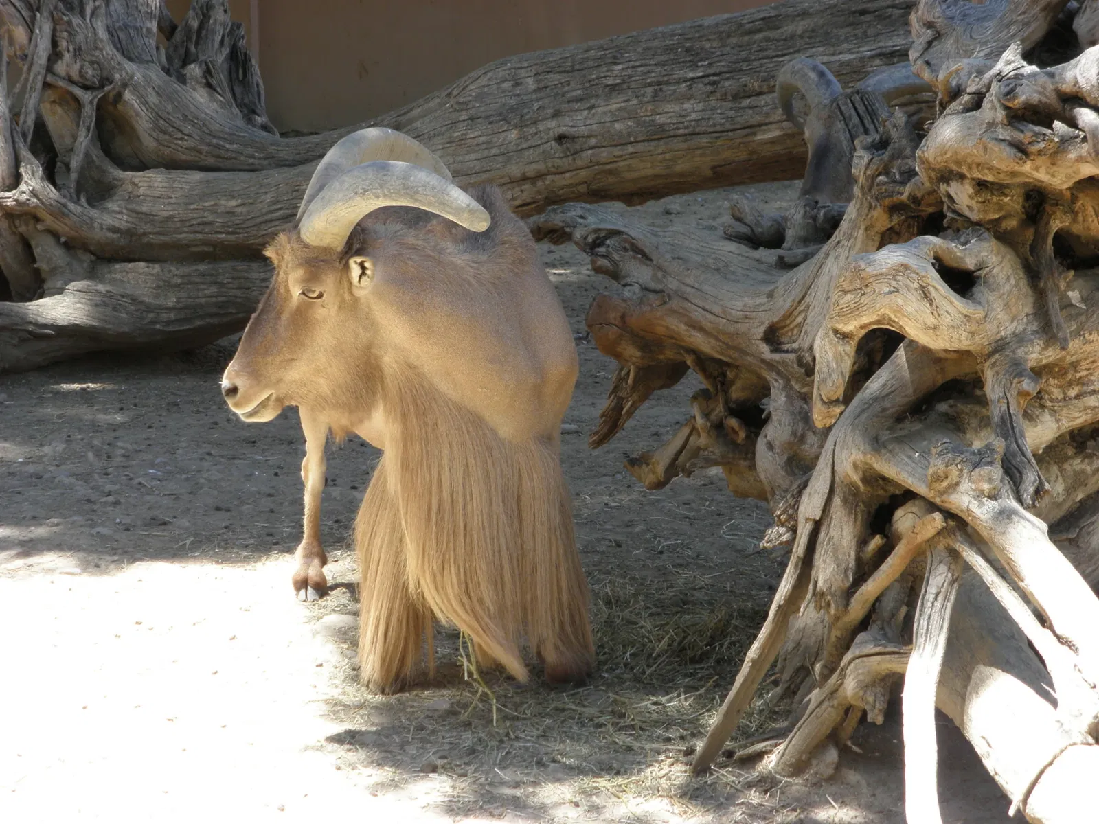 Zoo and Botanical Garden Jerez