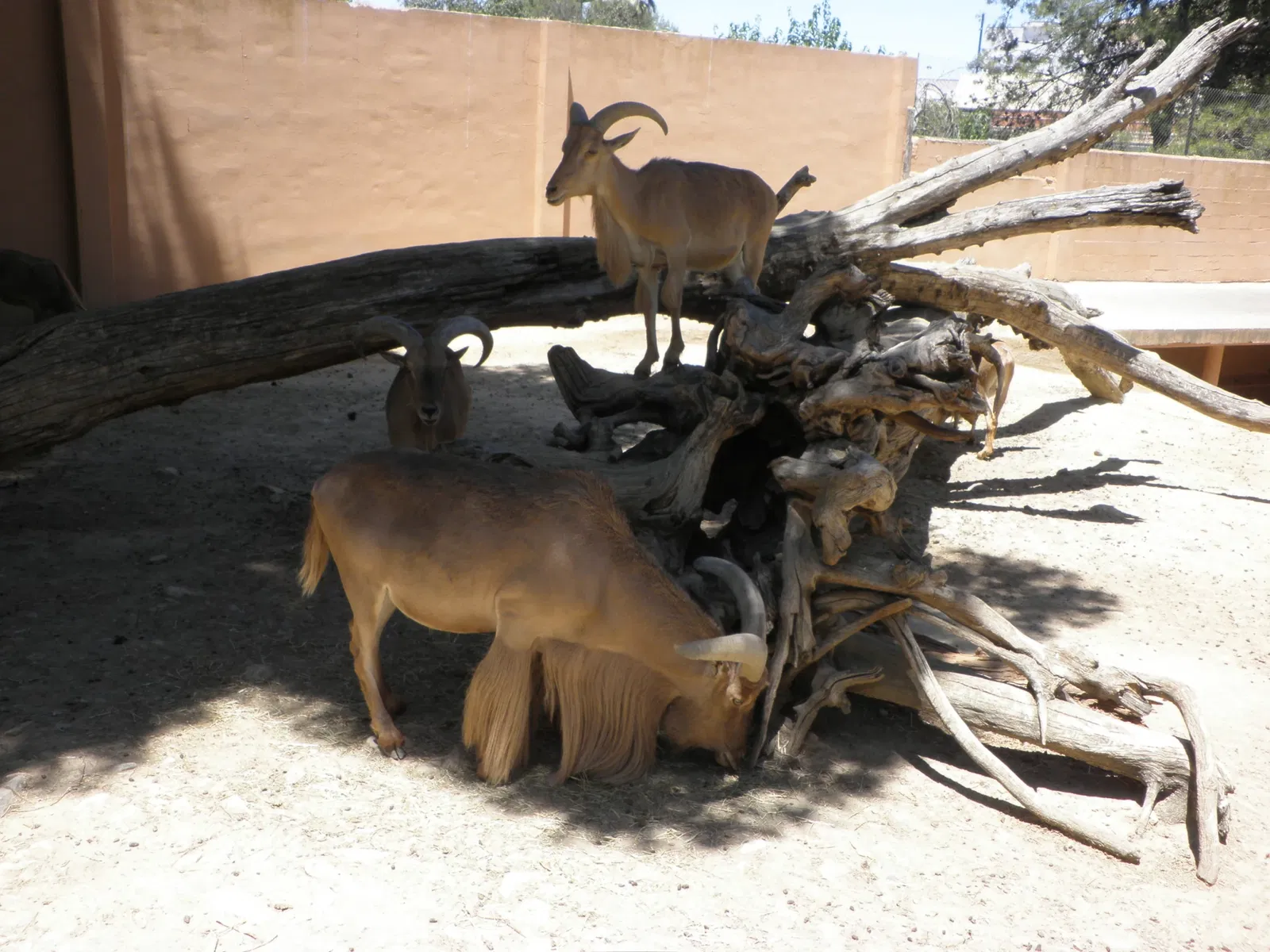 Zoo and Botanical Garden Jerez