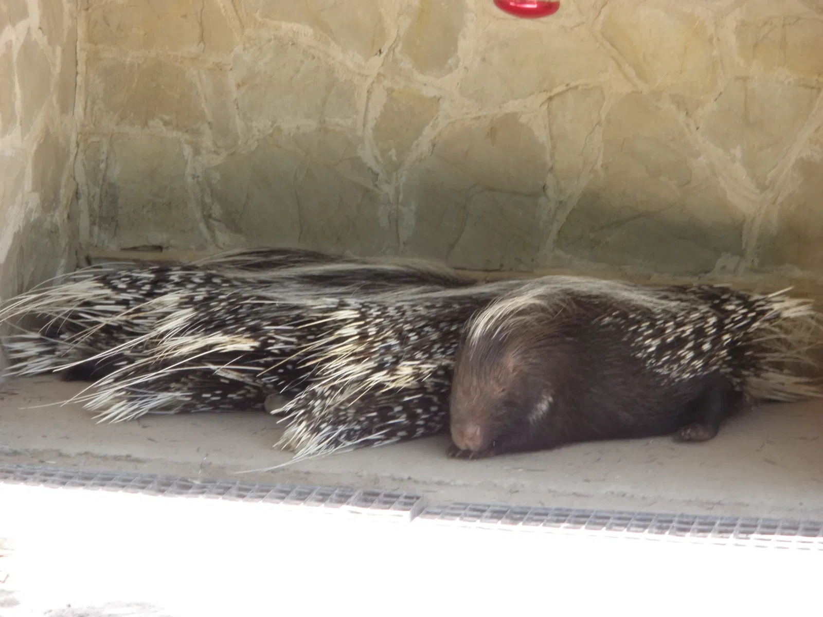 Zoo and Botanical Garden Jerez