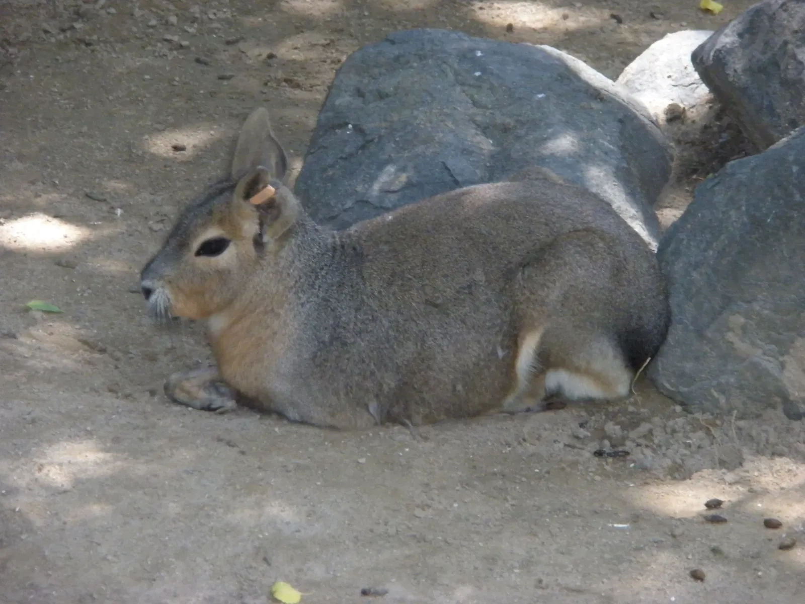 Zoo and Botanical Garden Jerez