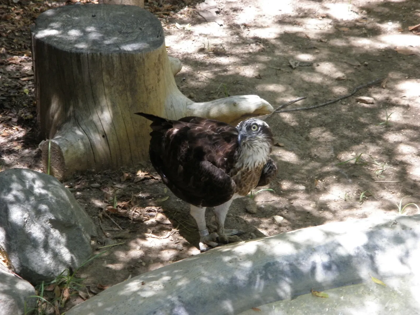 Zoo and Botanical Garden Jerez