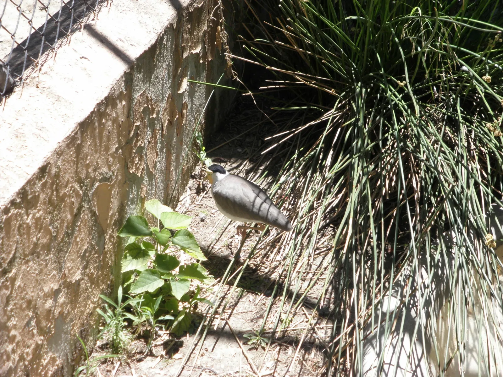 Zoo and Botanical Garden Jerez