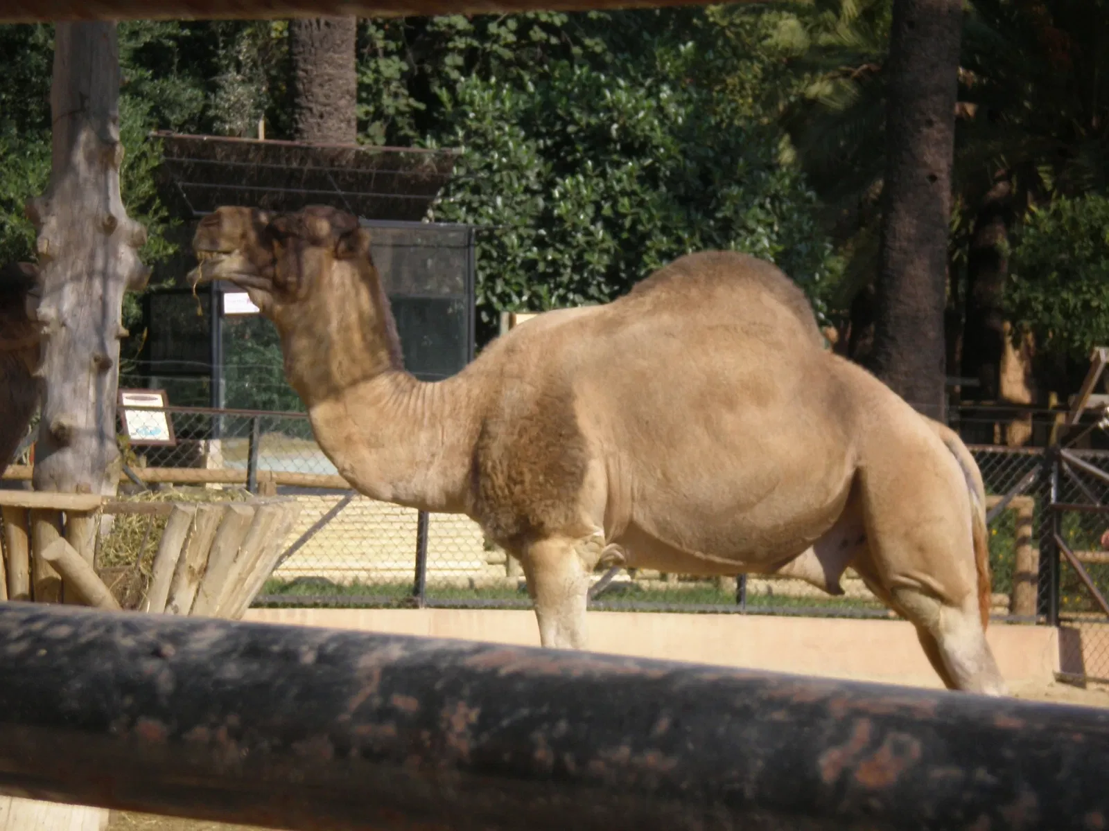 Zoo and Botanical Garden Jerez