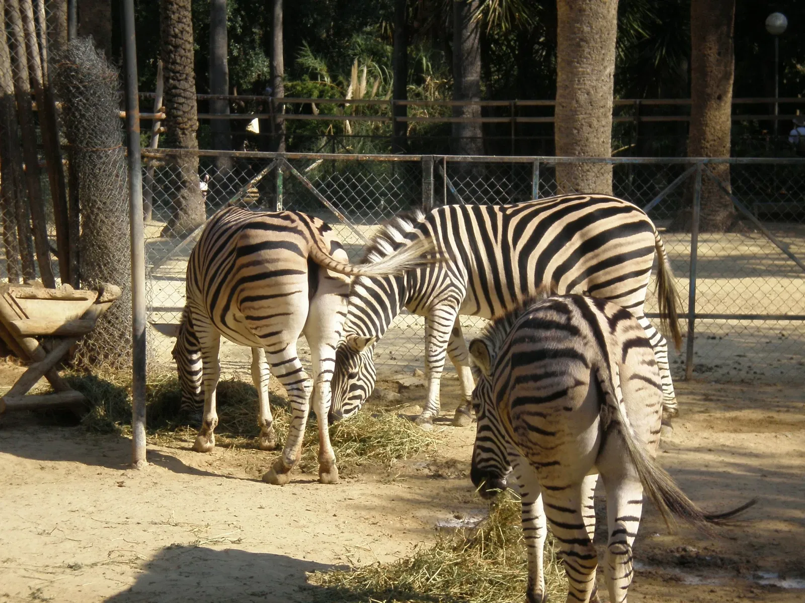 Zoo and Botanical Garden Jerez