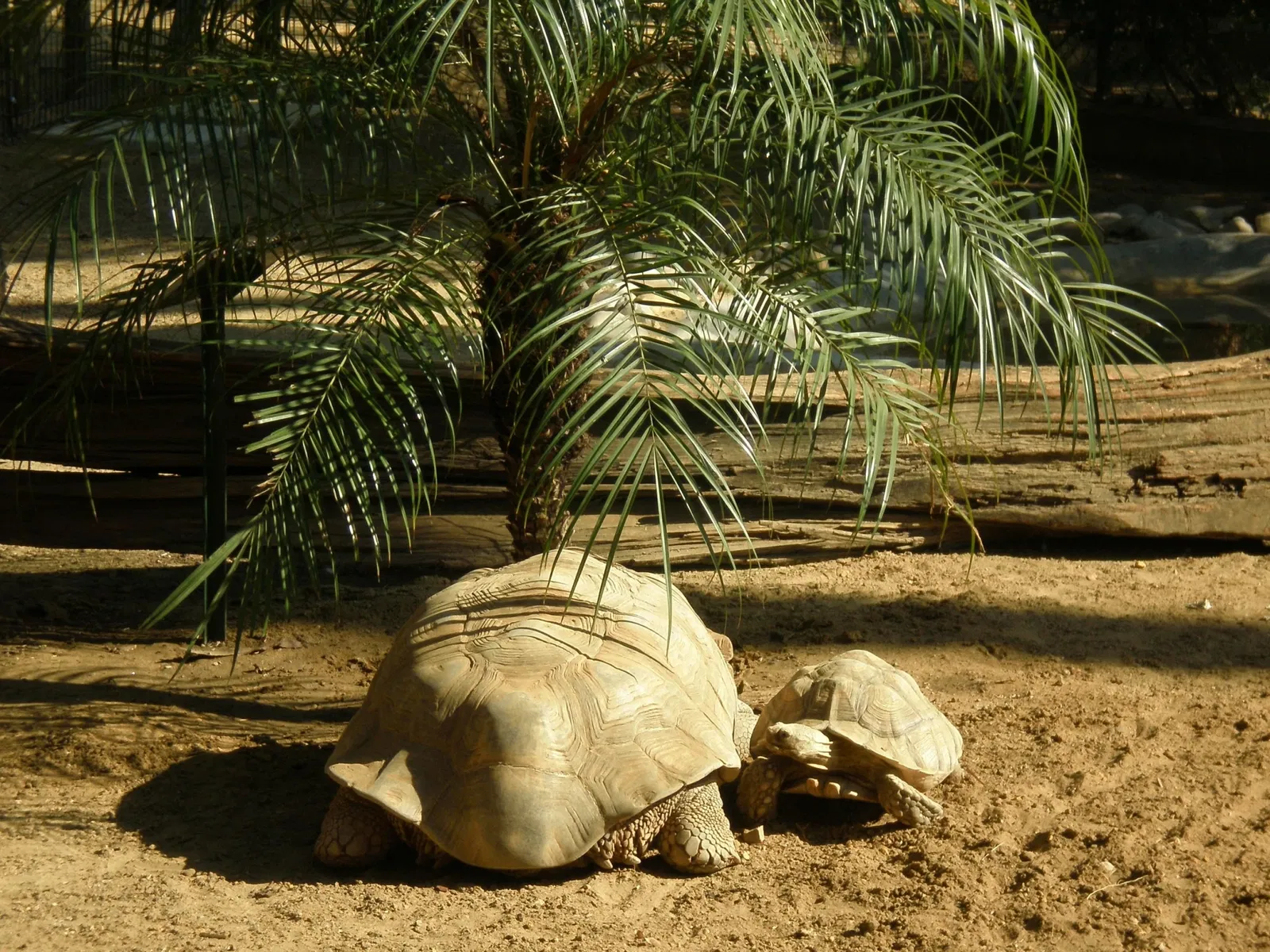 Zoo and Botanical Garden Jerez