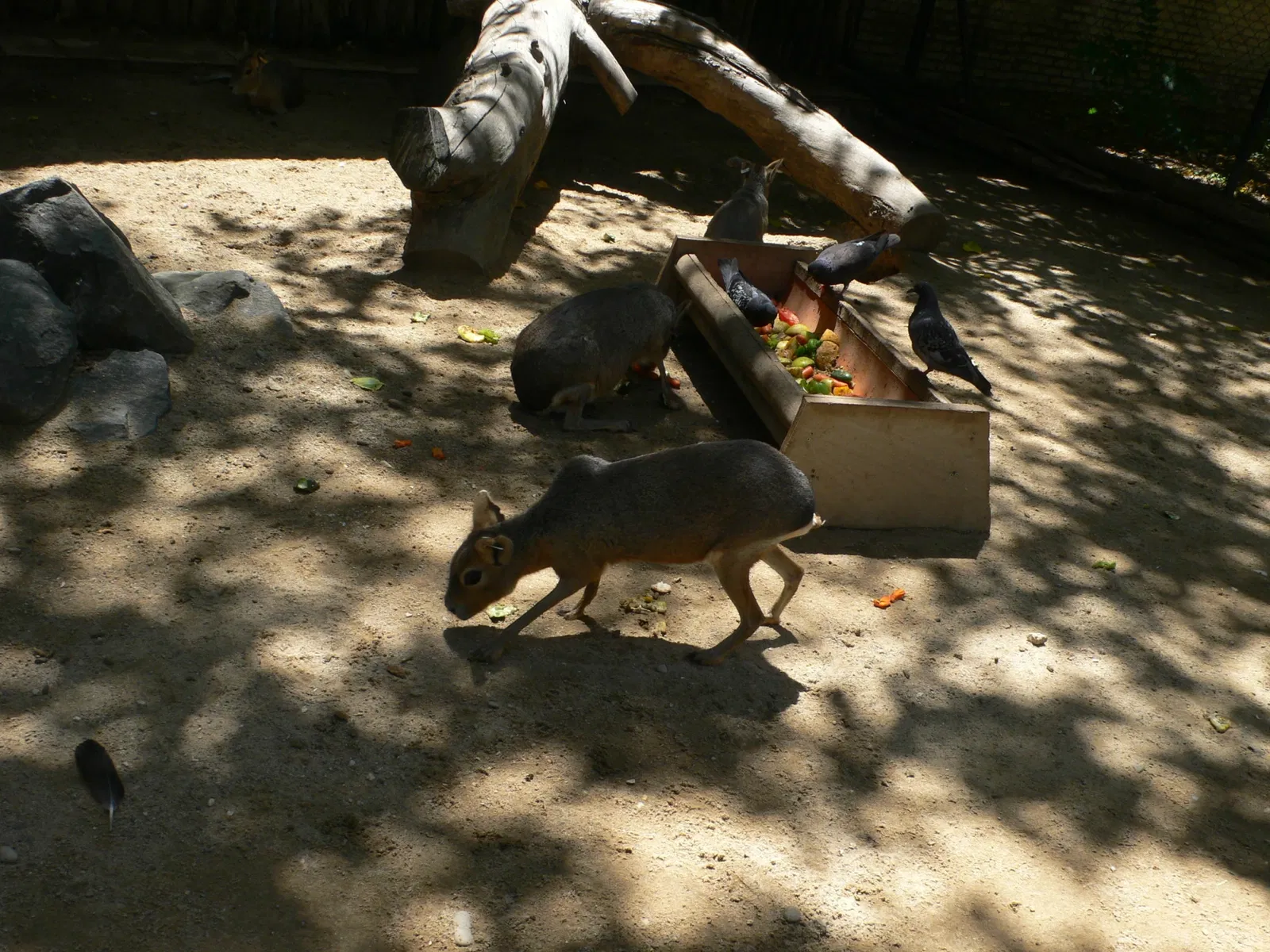 Zoo and Botanical Garden Jerez