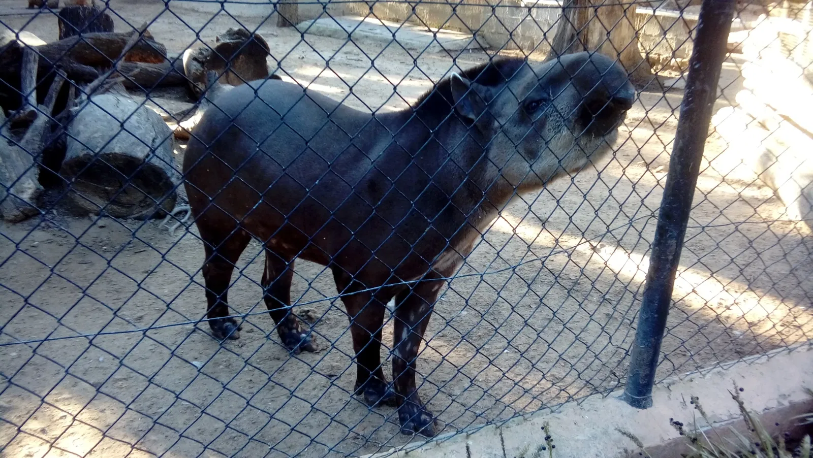 Zoo and Botanical Garden Jerez
