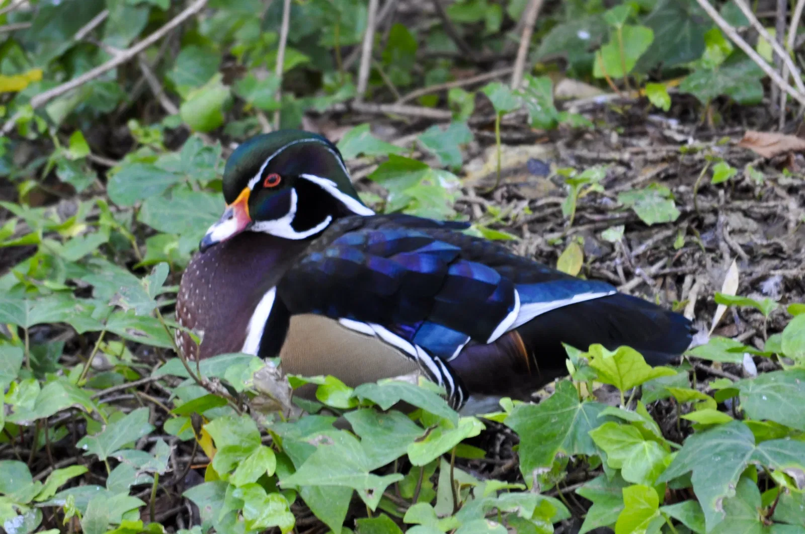 Zoo and Botanical Garden Jerez