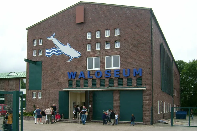 Waloseum