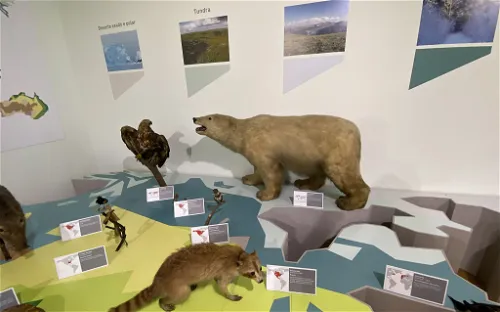 Museo de Historia Natural