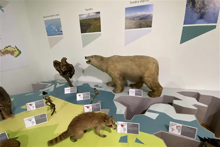 Museo de Historia Natural