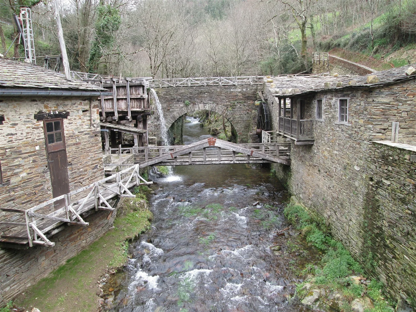 Mills Museum Mazonovo