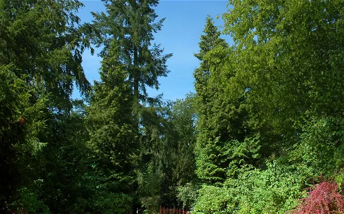 Forest Botanical Garden Eberswalde