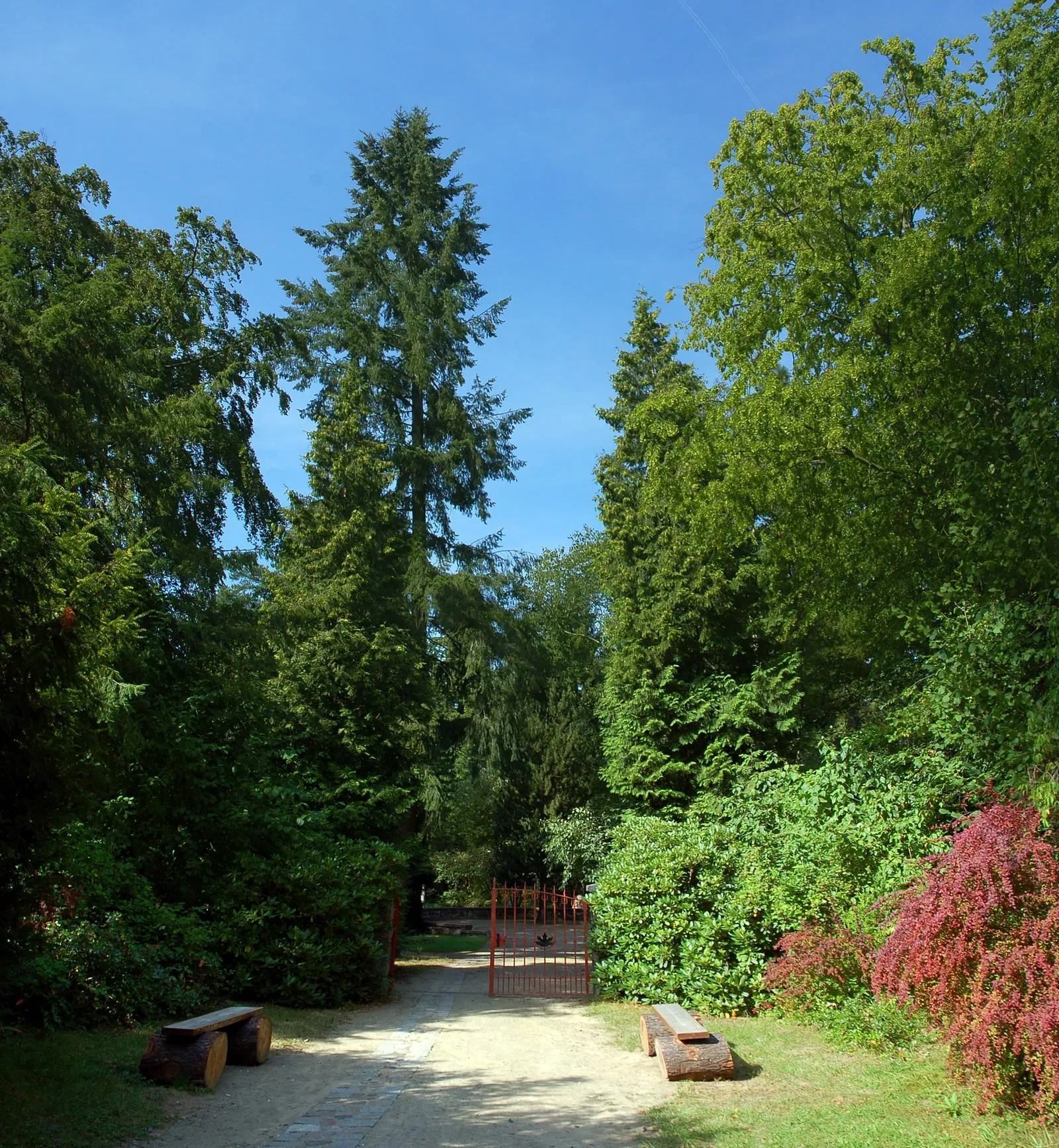 Forstbotanischer Garten Eberswalde
