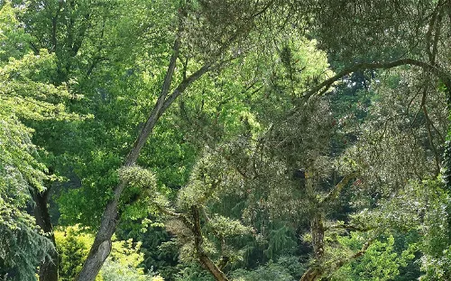 Hof Botanical Garden