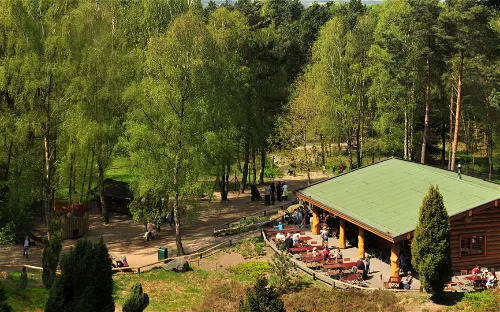 Wildpark Lüneburger Heide