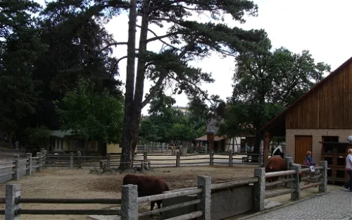 Naturschutz-Tierpark Görlitz