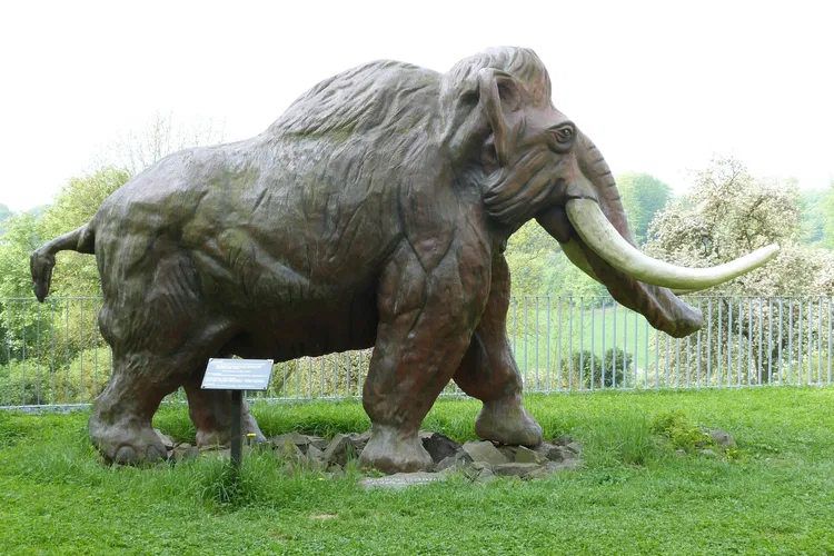 Monrepos (archaeology)