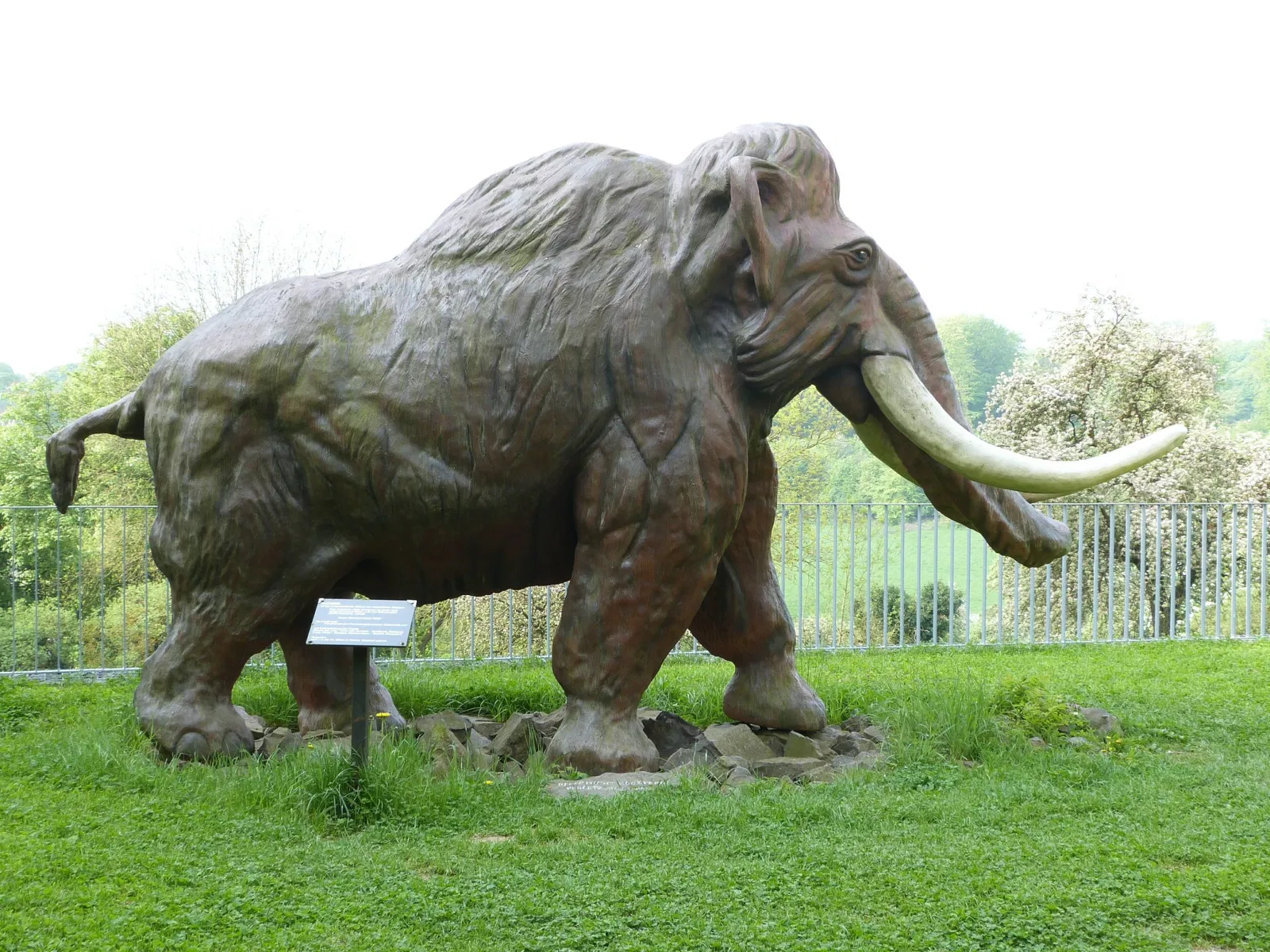 MONREPOS - Archäologisches Forschungszentrum & Museum