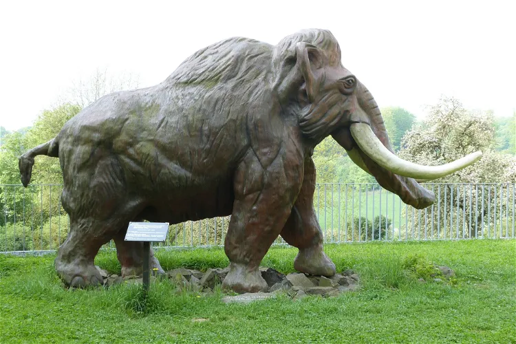 MONREPOS - Archäologisches Forschungszentrum & Museum