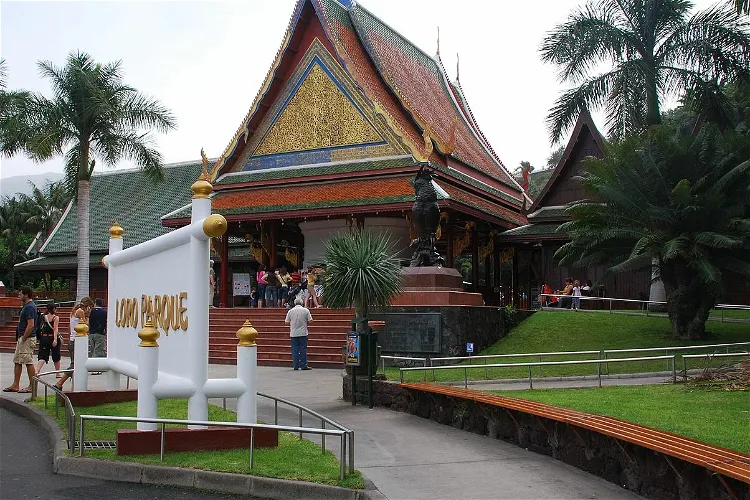 Was Kostet Der Eintritt Loro Park Puerto De La Crize whichmuseum.de