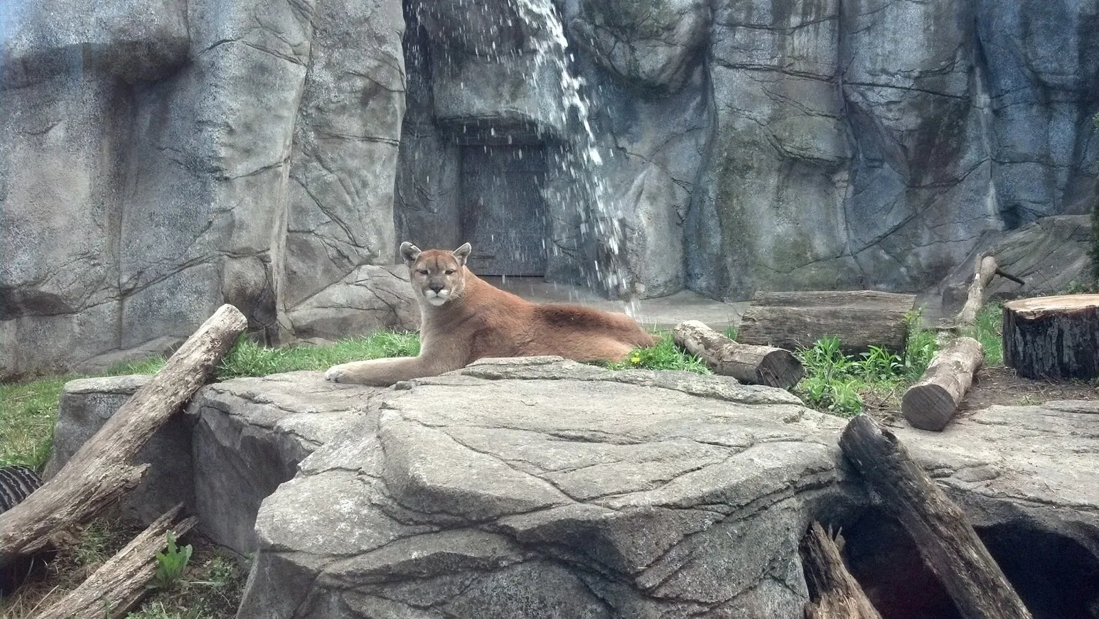 Washington Park Zoo