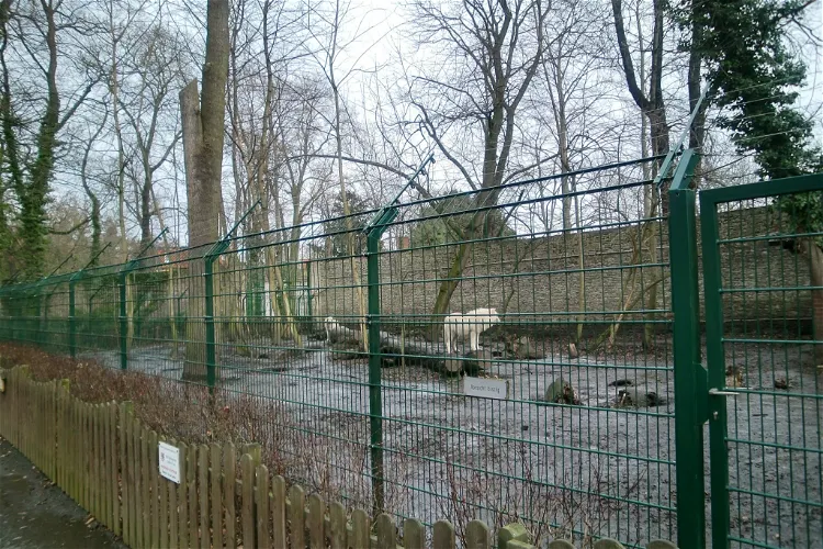 Tiergarten Staßfurt