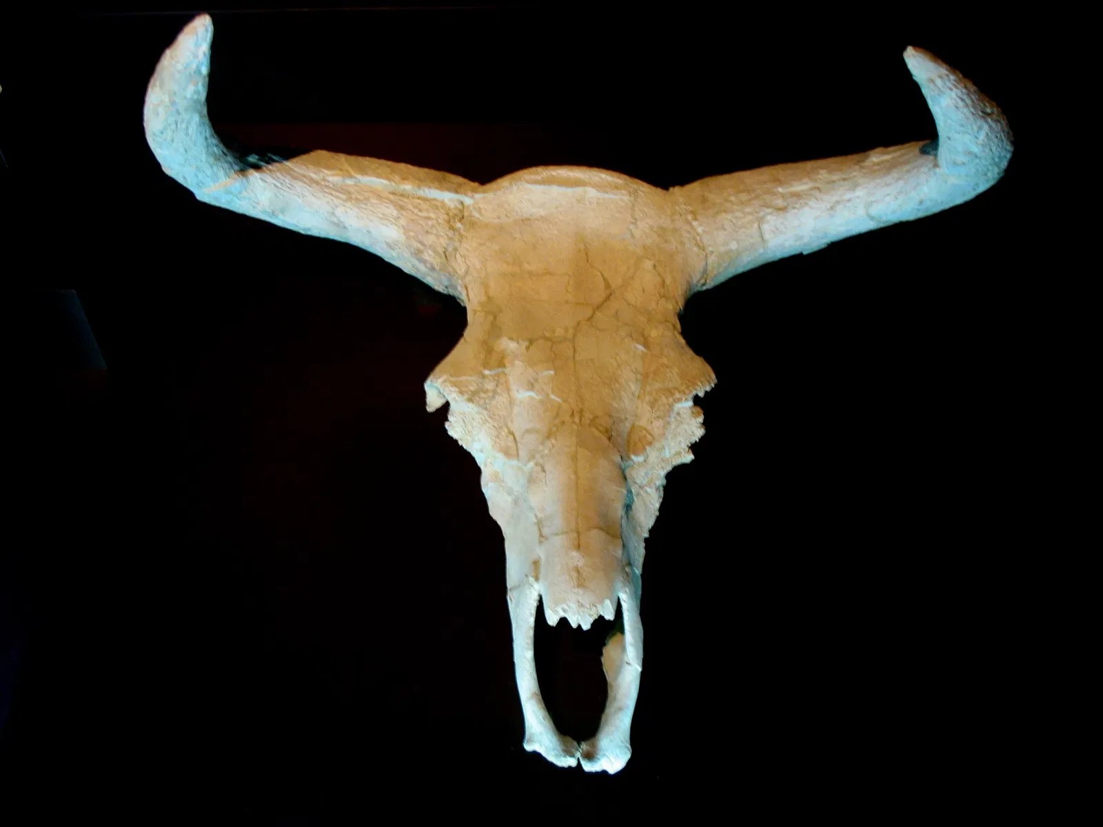 Museo Arqueológico Regional