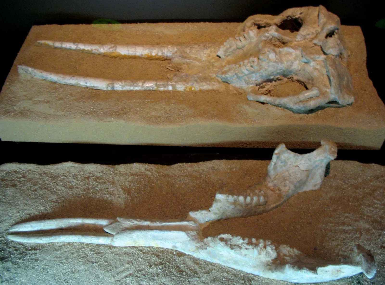 Regional Archaeological Museum