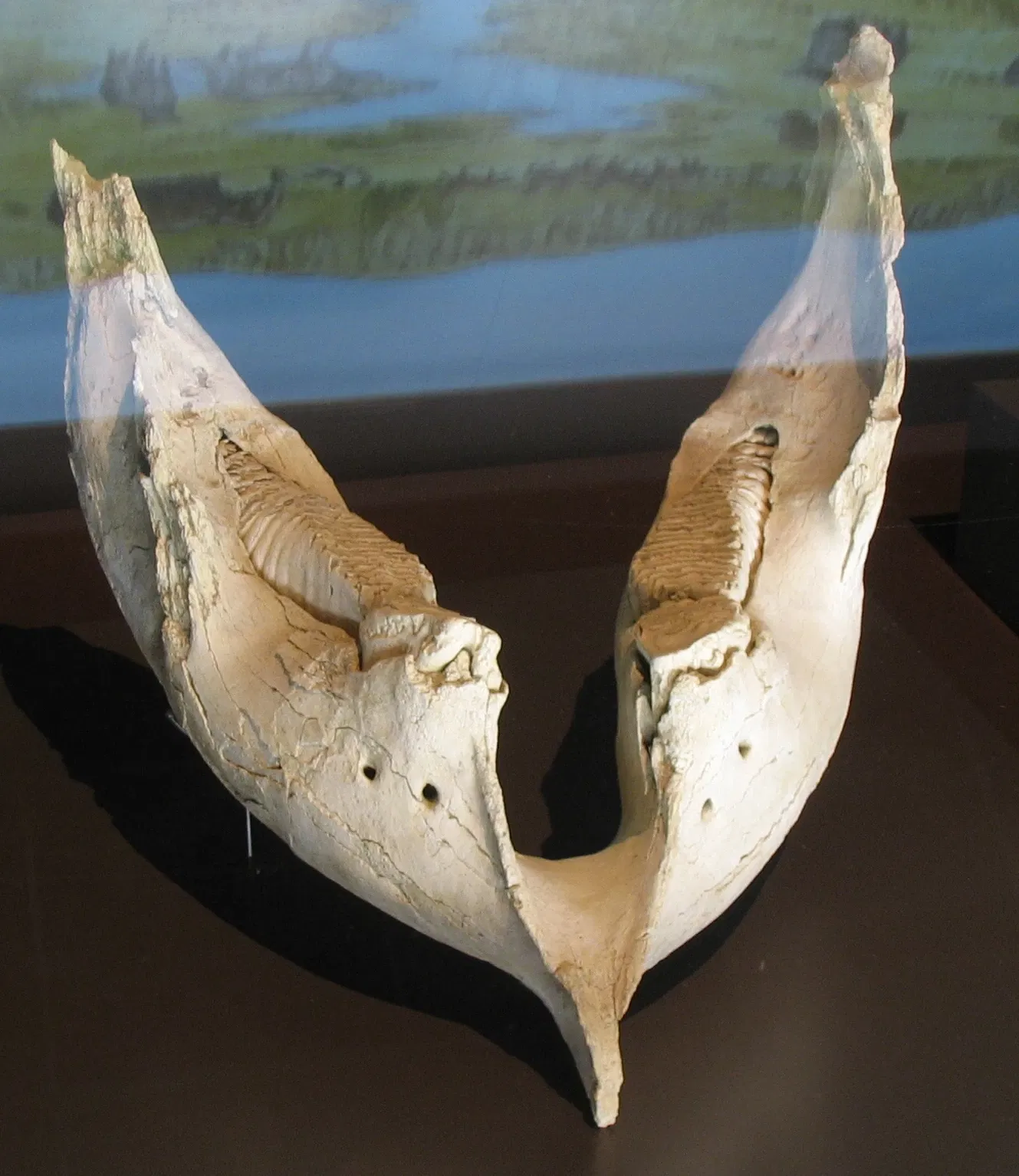 Museo Arqueológico Regional