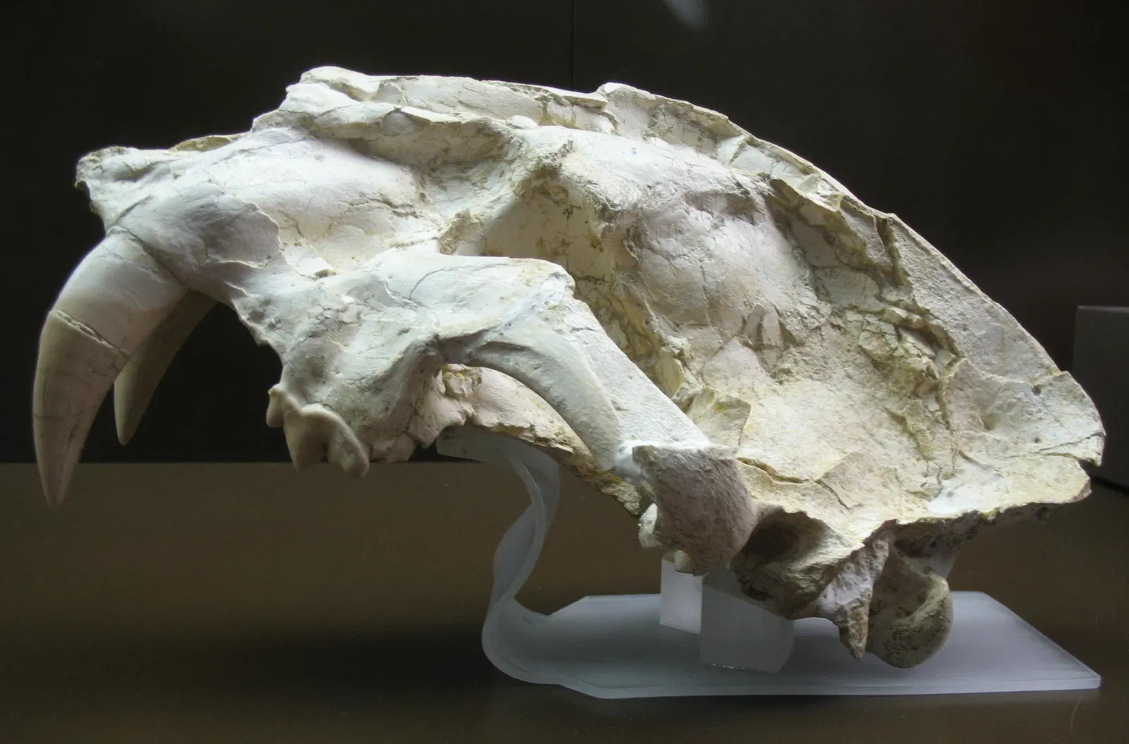 Museo Arqueológico Regional