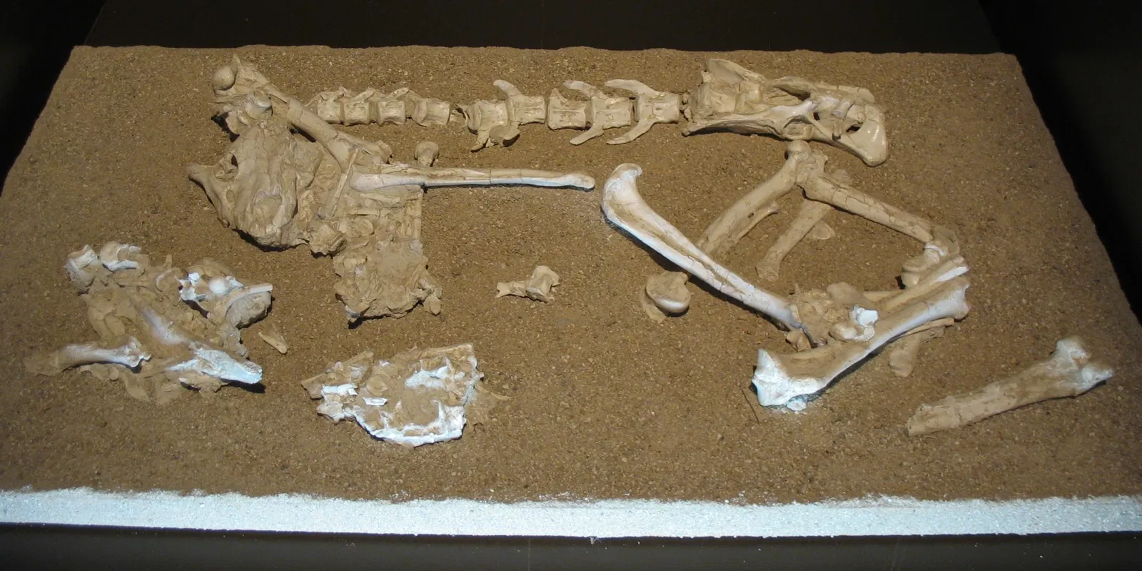 Regional Archaeological Museum