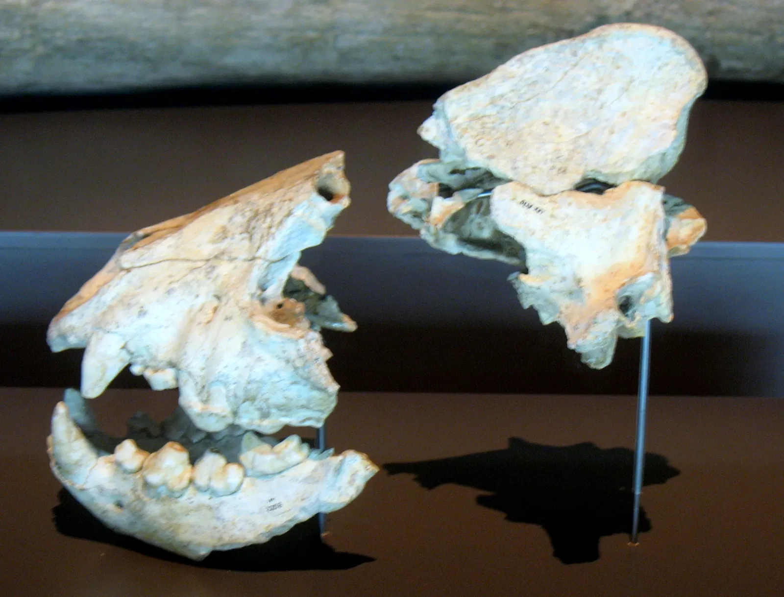 Museo Arqueológico Regional