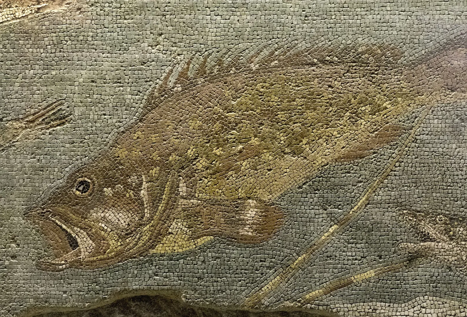 Regional Archaeological Museum