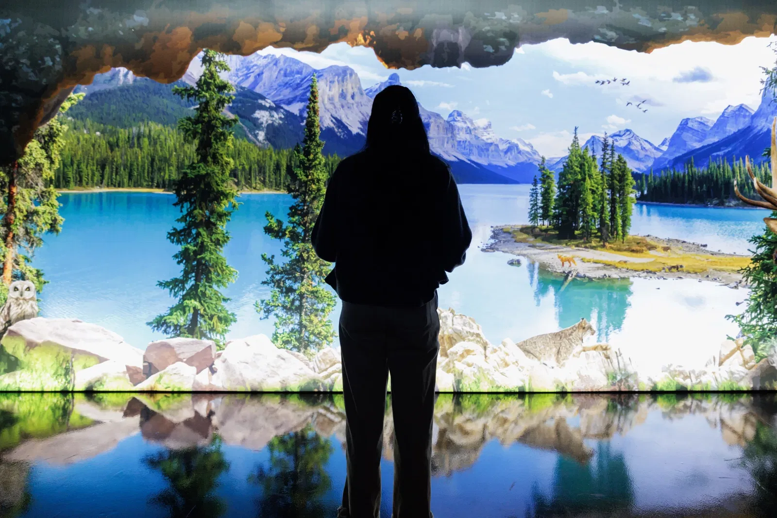 Arcadia Earth Toronto