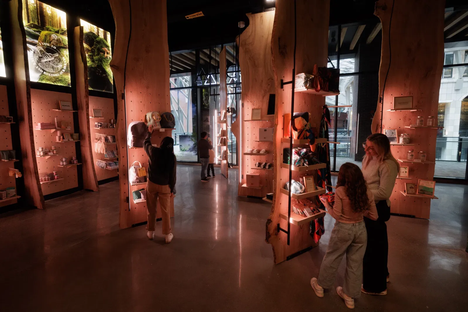 Arcadia Earth Toronto