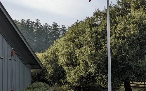 Bear Valley Visitor Center - Point Reyes National Seashore