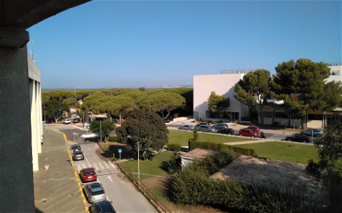 Bahía de Cádiz Natural Park
